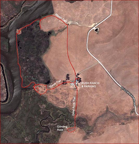 California Wildflower hikes, Rush Ranch